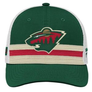 NHL -lippikset