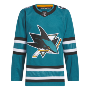 NHL -pelipaidat